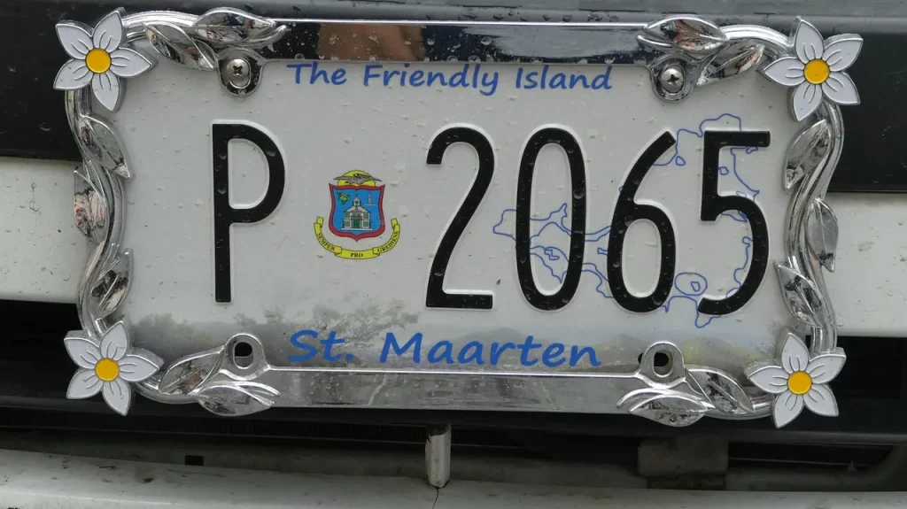 How to Check Your Car Registration Status Online