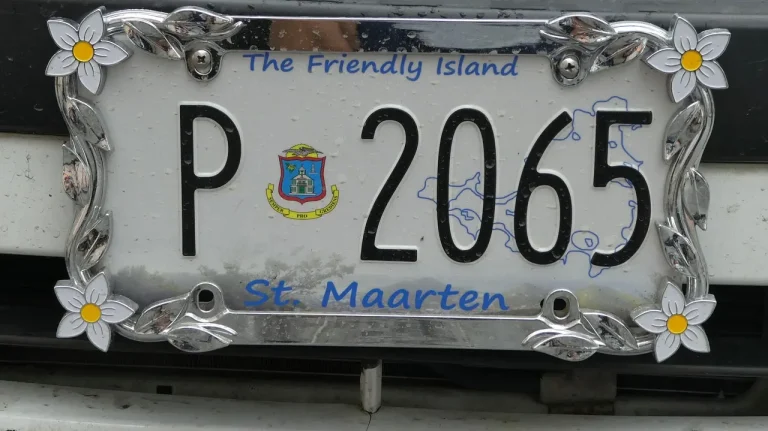 Person checking a car registration status online on a laptop beside registration papers and a phone