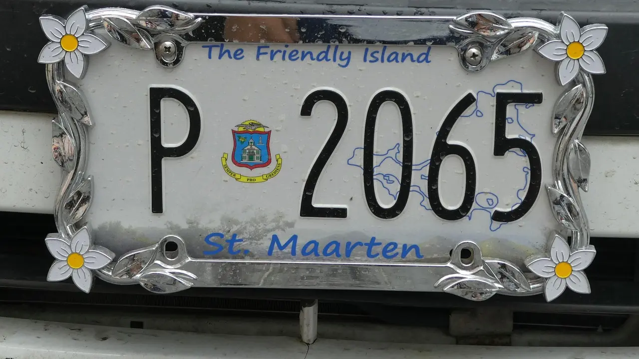 Person checking a car registration status online on a laptop beside registration papers and a phone